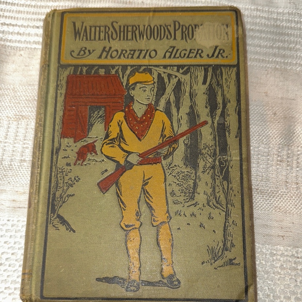 Vintage Book 'Walter Sherwood's Probation' by Horatio Alger Jr.